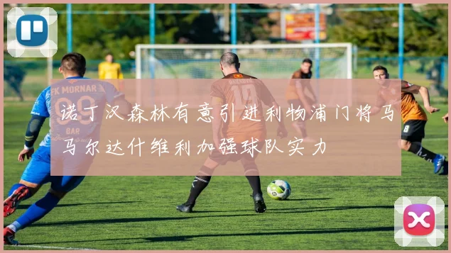 诺丁汉森林有意引进利物浦门将马马尔达什维利加强球队实力